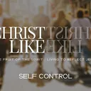 Self-Control || Pastor Doug Rogness || Christlike: The Fruit of the Spirit artwork