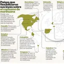 Se puede dinamizar la economía local con Cannabis. Entrevista a Casa Roots. Colombia artwork