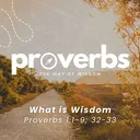 What is Wisdom || Proverbs 1:1-9; 32-33 || Pastor Doug Rogness || Proverbs: The Way of Wisdom artwork