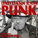 237: Hollow Skai (No Fun Records) – Und dann kam Punk artwork