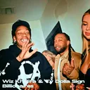 Wiz Khalifa & Ty Dolla Sign - Billionaires artwork