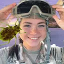 Digital Islands, DARPA Insects, & E-Girl Psy-Ops artwork