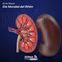 10 de marzo | Día Mundial del Riñón 2022 artwork