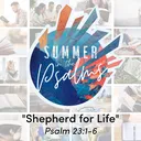 Summer in the Psalms: Shepherd for Life | Pastor Jeff Seaver artwork