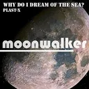 Plast-X - Why do I dream of the sea? artwork