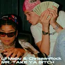 Lil Mabu & ChriseanRock - MR. TAKE YA BITCH (Jersey Club Remix) artwork