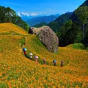 很多漂亮的風景，就在身邊卻不被發現 artwork
