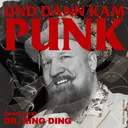 230: Dr. Ring Ding (EL BOSSO & DIE PING PONGS, DR. RING DING & THE SENIOR ALLSTARS, THE BUSTERS,…) – Und dann kam Punk artwork