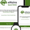 Ep. 255: The E-Naira Properly Explained - Part 2 artwork