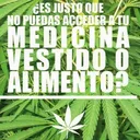 Nueva Ley de Drogas en Ecuador, entrevista a Ecuador Cannábico artwork