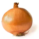 June 27-Onions, Hellen Keller, Tony Awards, Captain Kangaroo, Lorrie Morgan, Tobey Maguire, 1st Speed Limit artwork