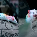 WHOLE LOTTA RAT - 🚨🚨New 6ix9ine Alert!🚨🚨 artwork