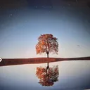Reflection _ Action Research artwork