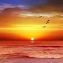 Pensando con una mente libre artwork