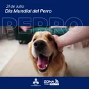 21 de julio | Día del Perro artwork