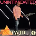 David 2: Unintimidated artwork