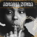 ARCADIA NEGRA : DINAMITA SOUL 2021 !!! ... SOUL Y OTRAS VELEIDADES artwork