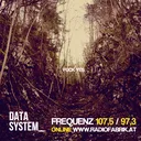 DATA SYSTEM_ #30 // LIVE LEUTE VERBUDDELN AUF DUESTEREN WALDLICHTUNGEN // 27.04.2015 // RADIOFABRIK SALZBURG artwork