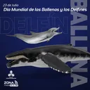 23 de julio | Día Mundial de las Ballenas y Delfines artwork