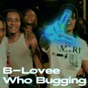 B-Lovee - Who Bugging artwork