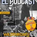Acero y vida. 9x25 (300 programas). The Wildthroats. Garaje. Punk Rock. artwork