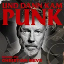253: Christian Mevs ( THE SOCIETY KILLERS, SCREAMER, SLIME, ANGESCHISSEN, GEORGE & MARTHA, FAITH HEALER, BROSCH, STATION 17, THE GIFT, ROSSBURGER REPORT, SKET, FUEHLER) – Und dann kam Punk artwork
