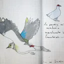 Semillas dispersas - Programa 4 - febrero 2017 artwork