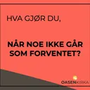 Sara Spilling // Hva gjør du, når noe ikke går som forventet? artwork