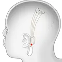 Ep. 96: HUMAN EVOLUTION - ALL ABOUT NEURALINK artwork