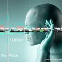 PLAST-X feat ANALGIN - Голос (Original version) artwork