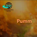 Pumm artwork