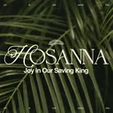 The King We Want, Is Not The King You Need || Matthew 21:1–17 || Pastor Kirk Militzer || Hosanna artwork