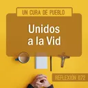 Unidos a la Vid artwork