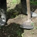 SONIDO DEL AZADON AL TRABAJAR LA TIERRA DEL CAMPO artwork