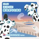 Ep.60：汪汪！汪！聽海鬼叫的聲音～克羅埃西亞札達爾 artwork
