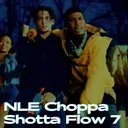 NLE Choppa - Shotta Flow 7 artwork