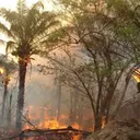 Gobernador del Beni declara emergencia departamental por incendios y sequía artwork