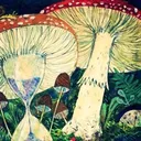 Poder curativo del reino vegetal, entrevista Biólogo Omar Vacas Cruz. artwork