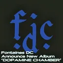 Fontaines DC Announce New Album 'DOPAMINE CHAMBER' artwork