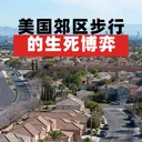 美国郊区步行的生死博弈 artwork