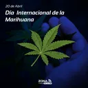 20 de abril | Día Mundial de la Marihuana artwork
