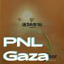 PNL - Gaza artwork