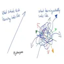What Does Learning Really Look Like? artwork