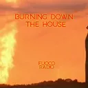 BURNING DOWN THE HOUSE artwork