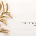The Gift of Gratitude || Pastor Jeff Seaver artwork