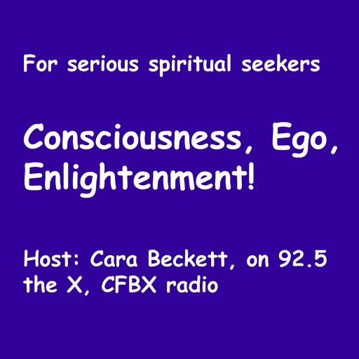 UndoTheEgo's podcast Artwork