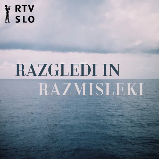 Razgledi in razmisleki Artwork