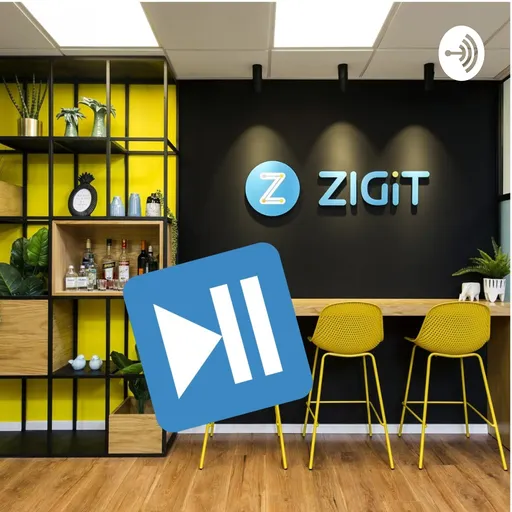 ZIGIT stories Artwork
