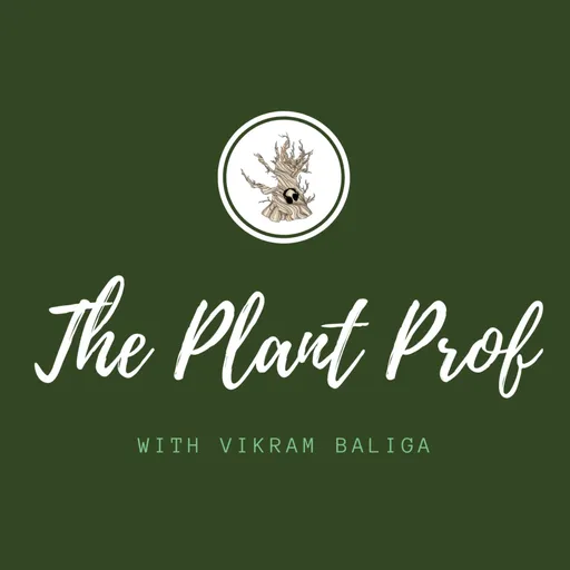 The Plant Prof Artwork