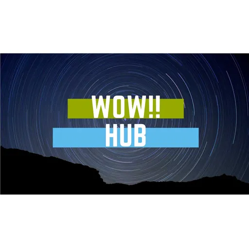 Wow Hub Artwork